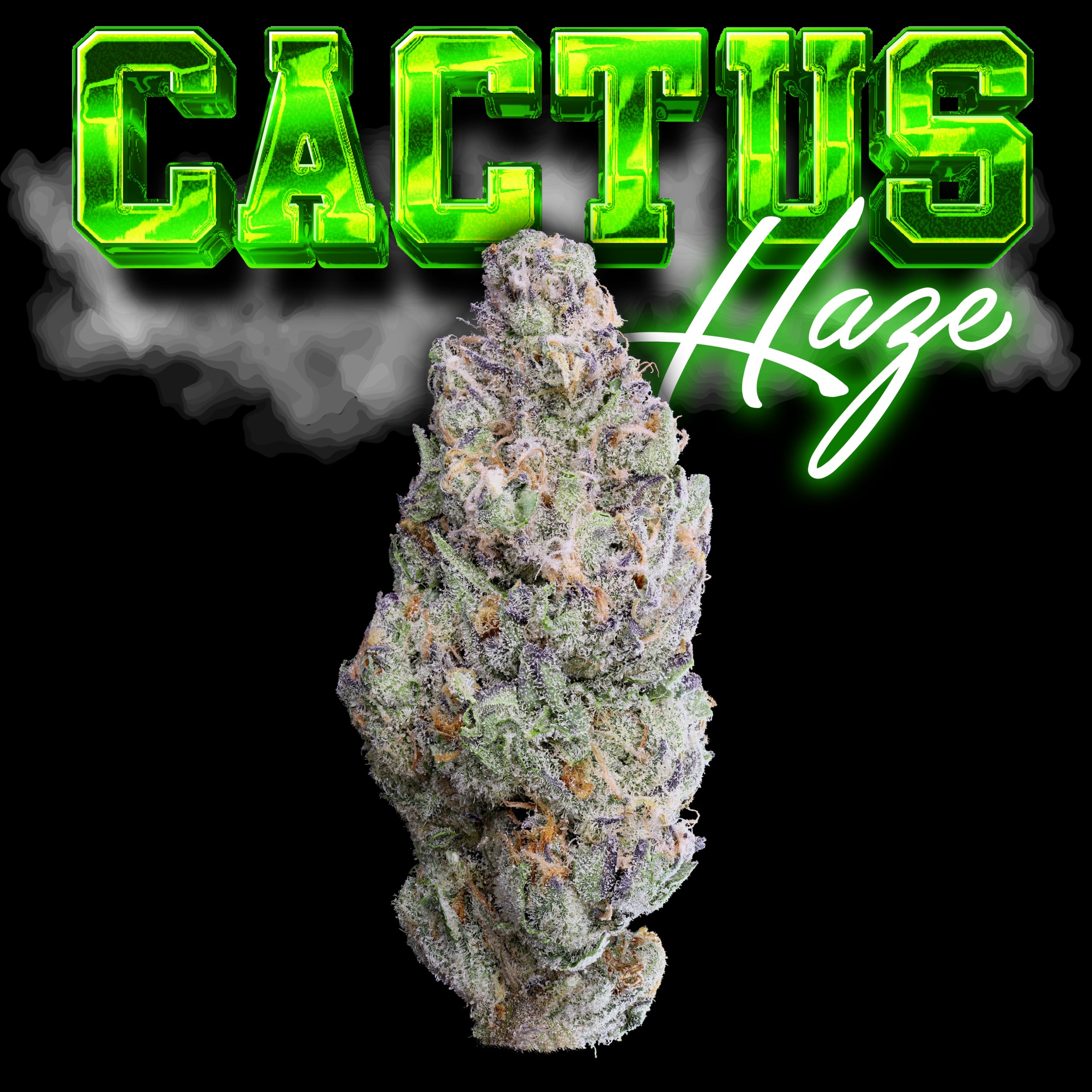 Cactus Haze Thumbnail