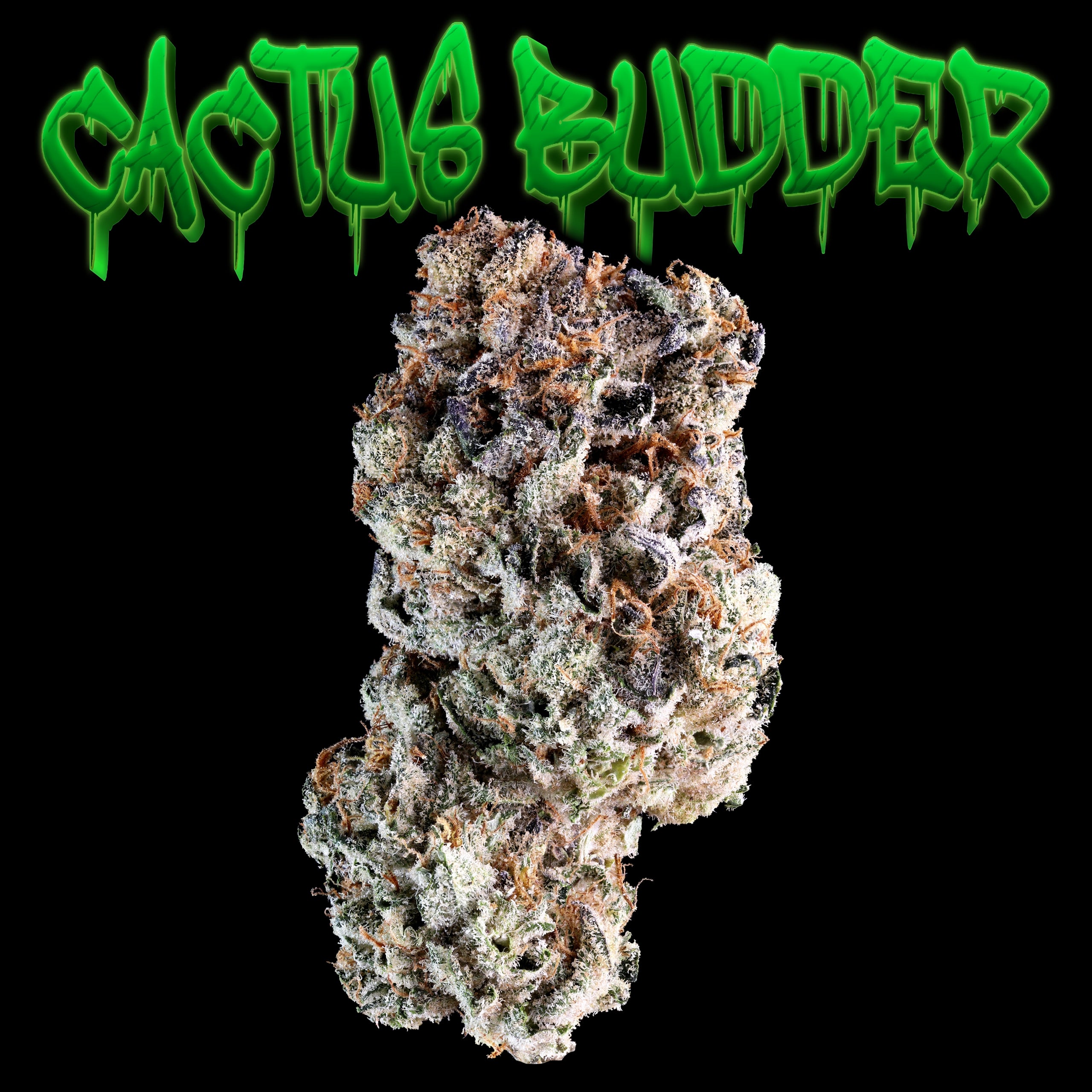 Cactus Budder
