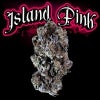Island Pink Strain