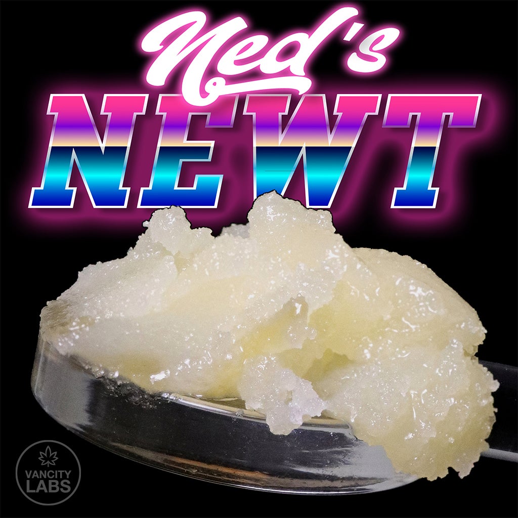 Ned’s Newt (1)