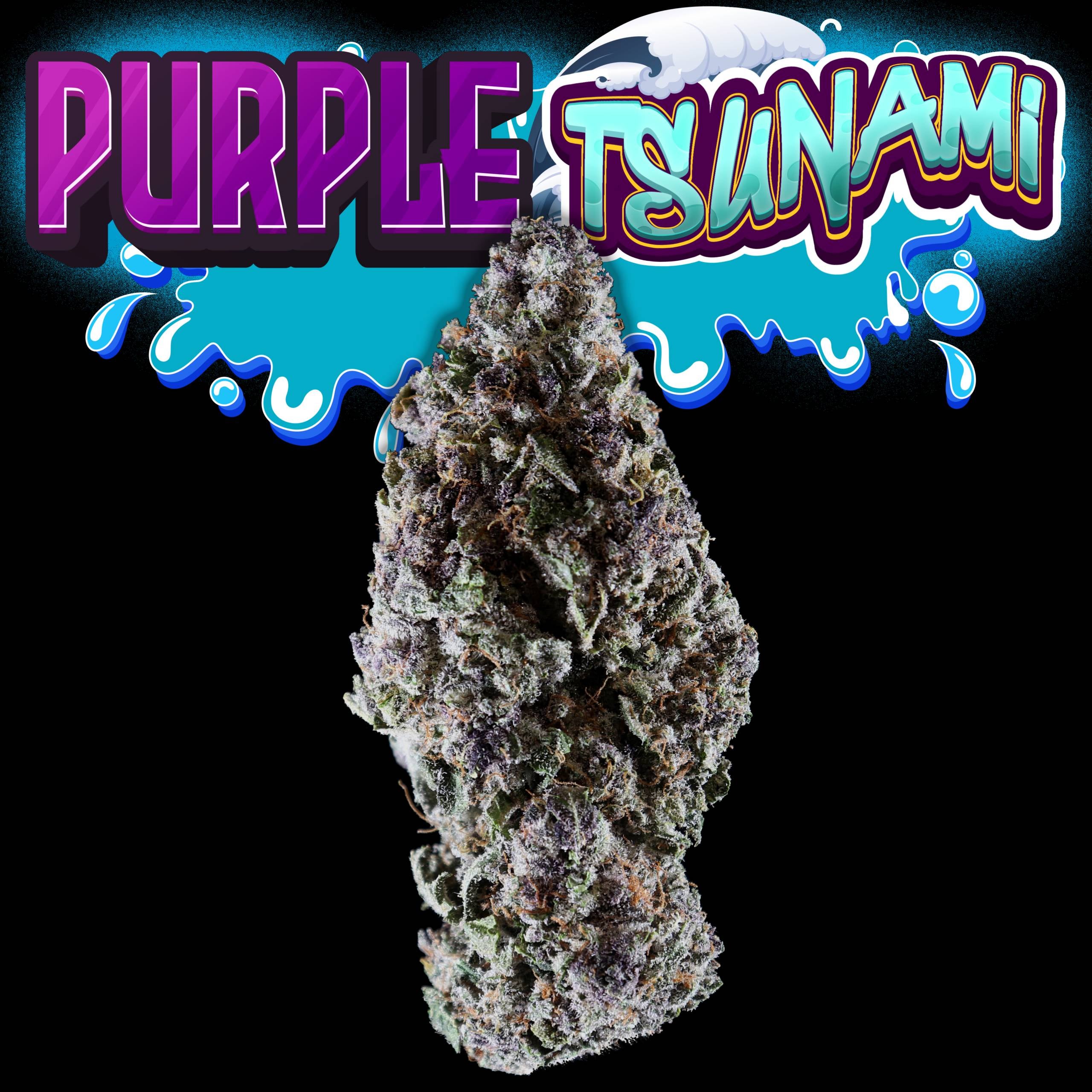 Purple Tsunami Bud Pic