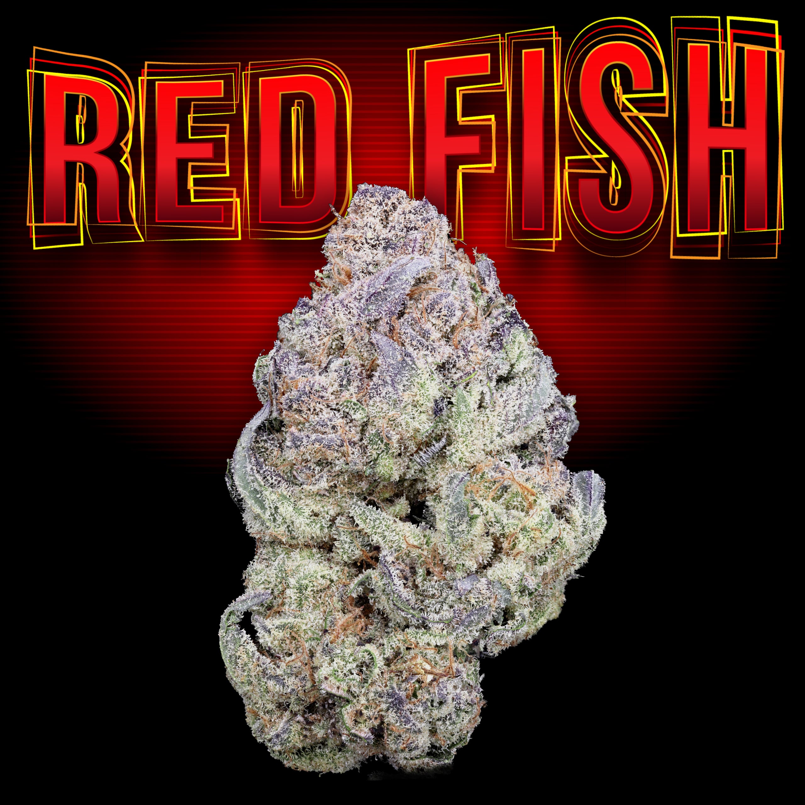 Red Fish Thumbnail
