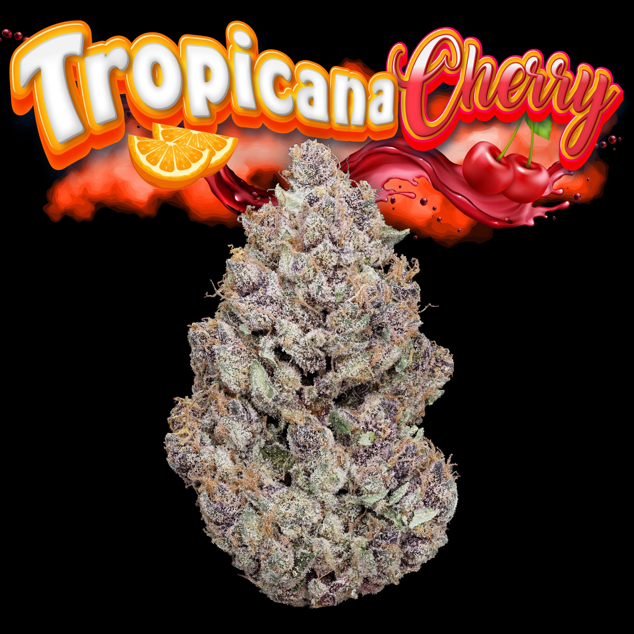 Tropicanna Cherry Nug