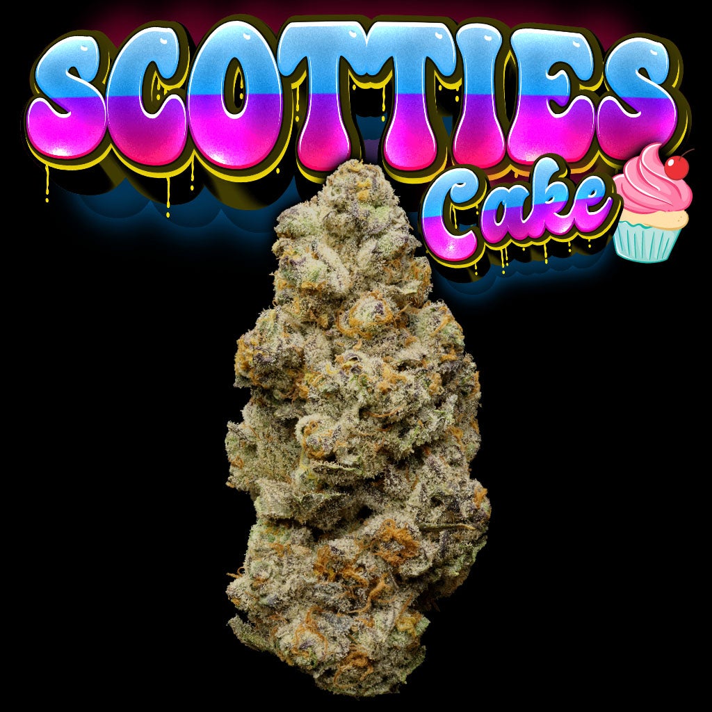Scotties Cake Thumbnail