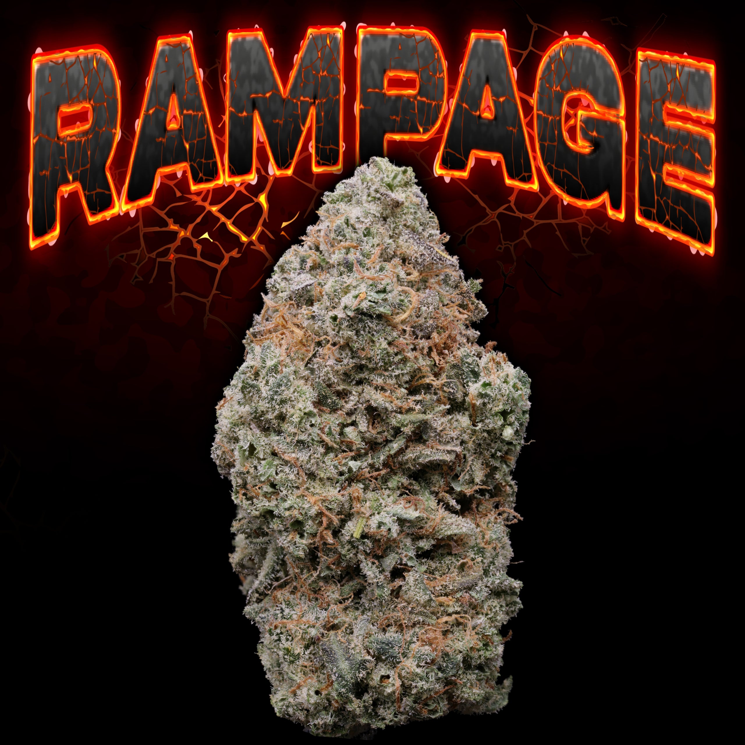 Rampage Bud (1)
