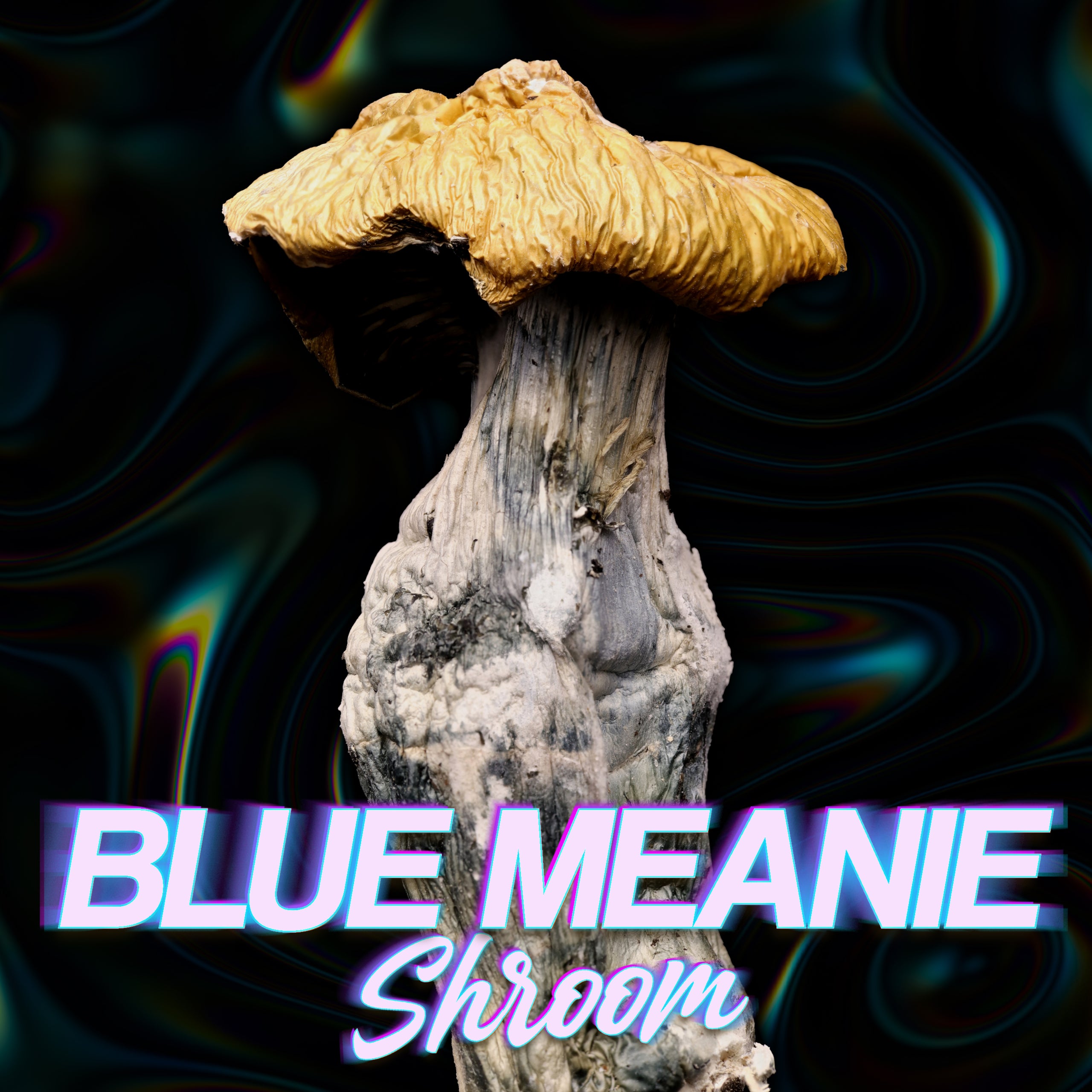 Blue Meanie Mushroom Thumbnail