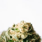 What Can Mary Janes HQ Teach Us About Weed?