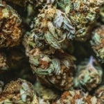 What Are the Benefits of West Coast Cannabis?
