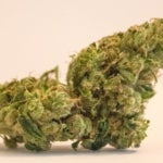 What Are the Effects of the Green Crack God Strain?