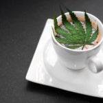 What Are the Best Vancouver Dispensaries for Weed?