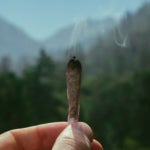 What Is the History of Hashish in Nepal?