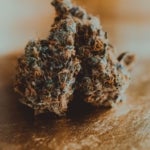What Are the Benefits of Moonrock Cannabis?