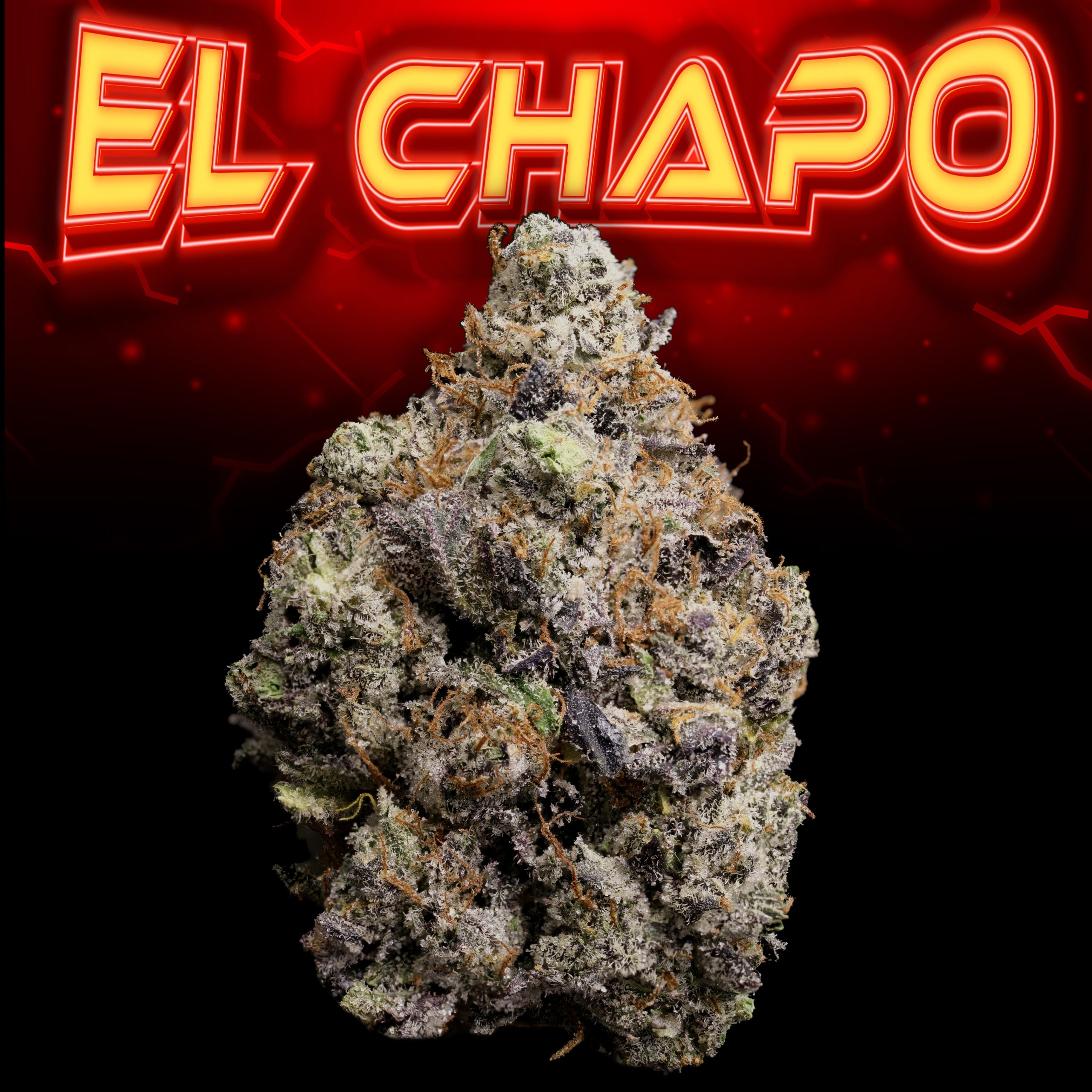 El Chapo Bud