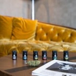 What Are the Sexual Benefits of Using CBD Oil?
