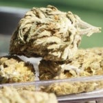 Is Medical Marijuana an Effective Treatment for Epileptic Seizures?