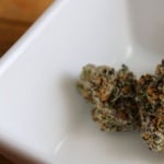 What Are the Best Medical Marijuana Brands in Pennsylvania?