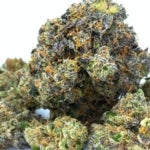 What Are the Effects of the Black Candyland Strain?