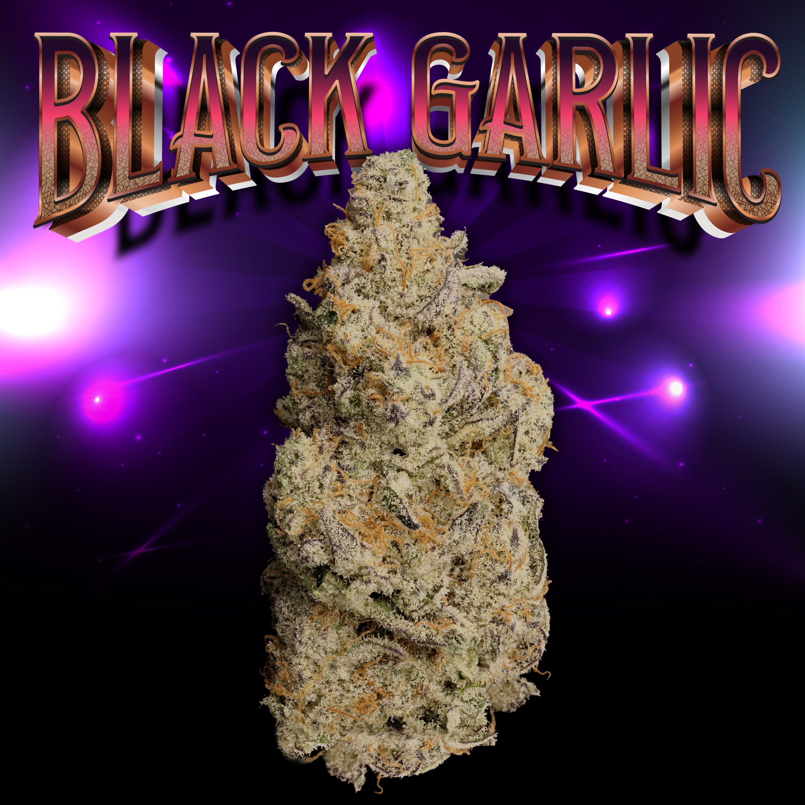 Black Garlic Thumbnail