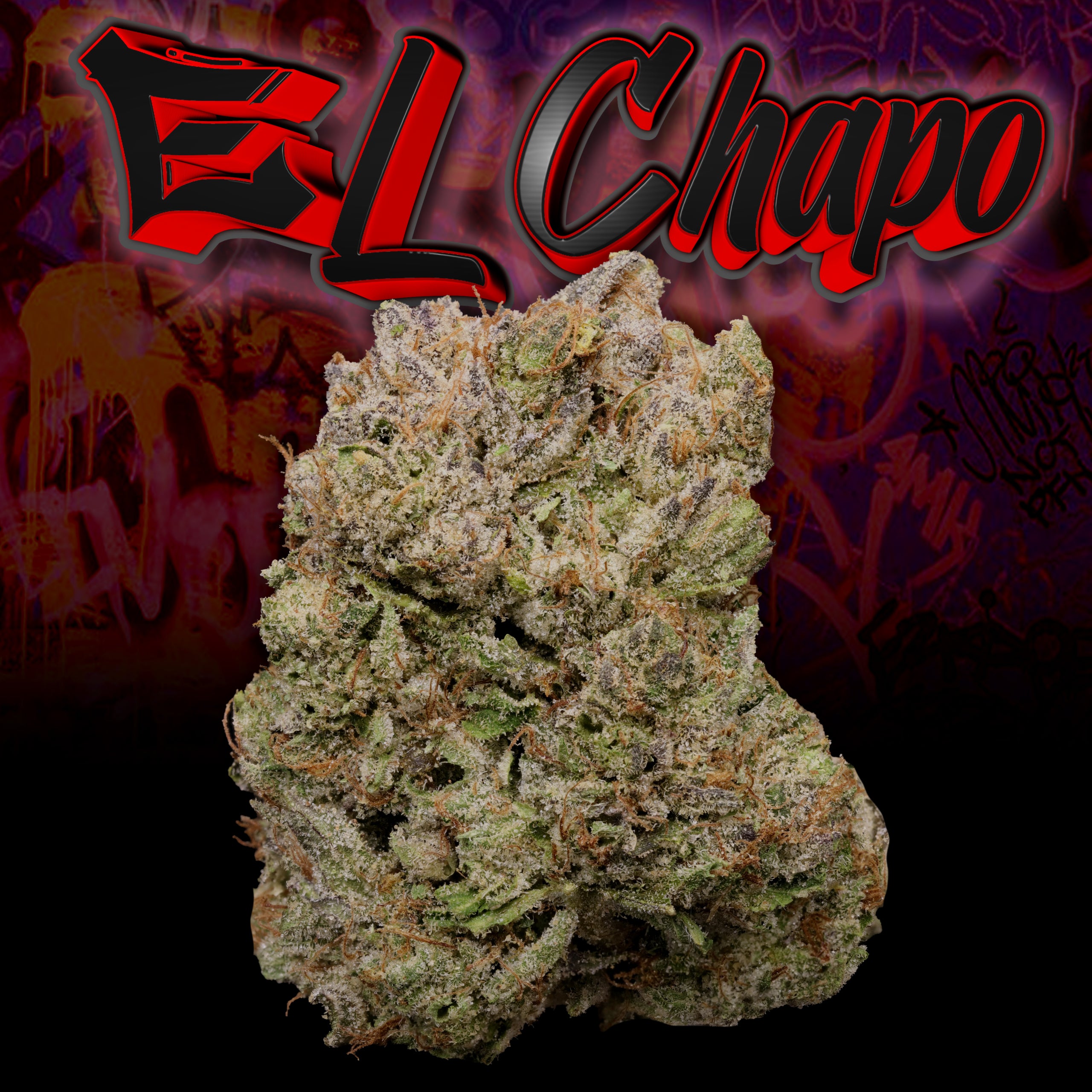 El Chapo Bud