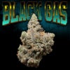Black Gas Thumbnail