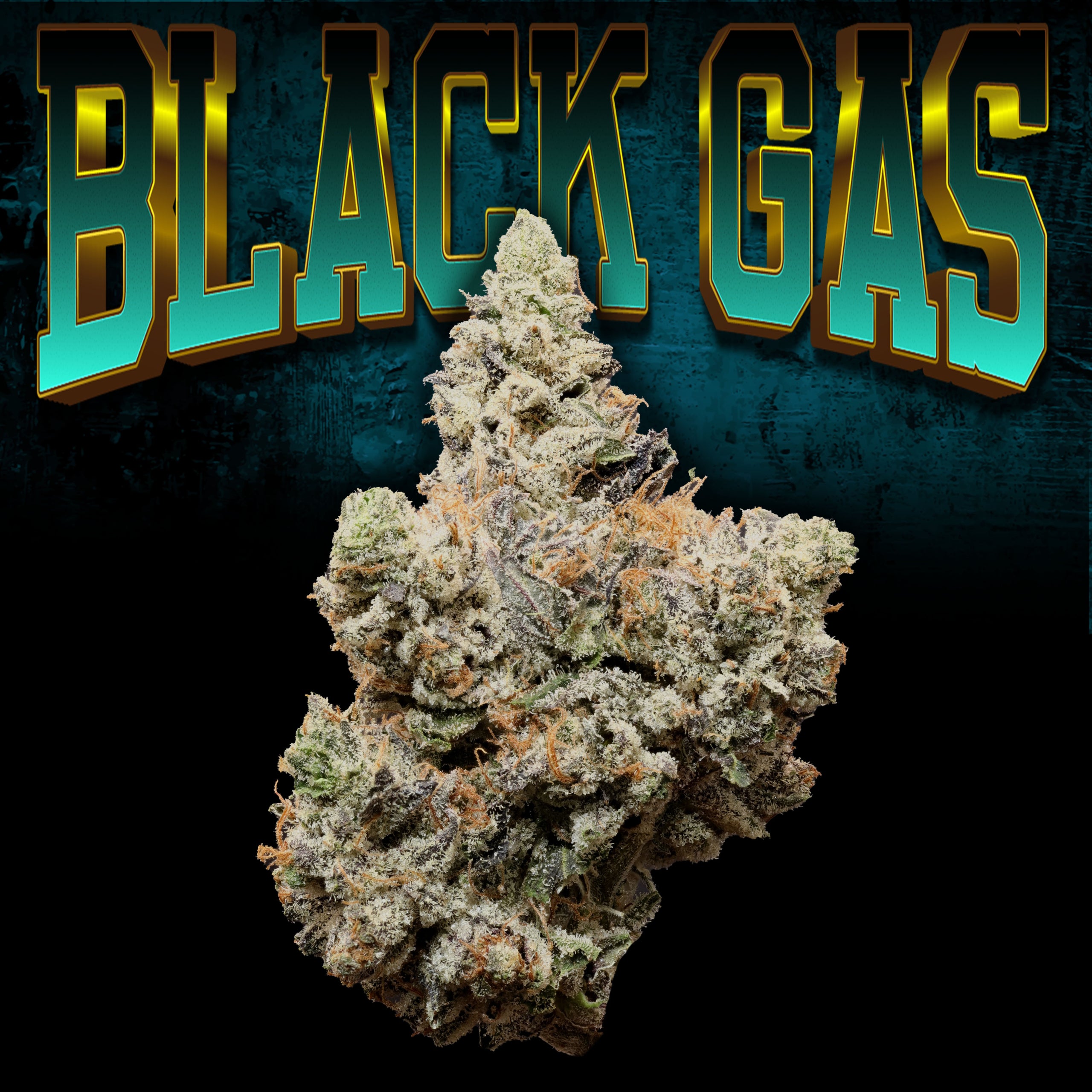 Black Gas Bud